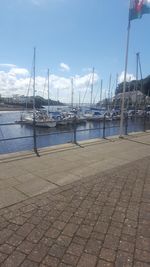 Sailboats moored in harbor