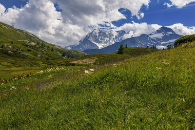 Scenic view of field and mountains against sky