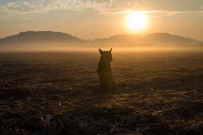 Scenic view of silhouette landscape against sunset sky