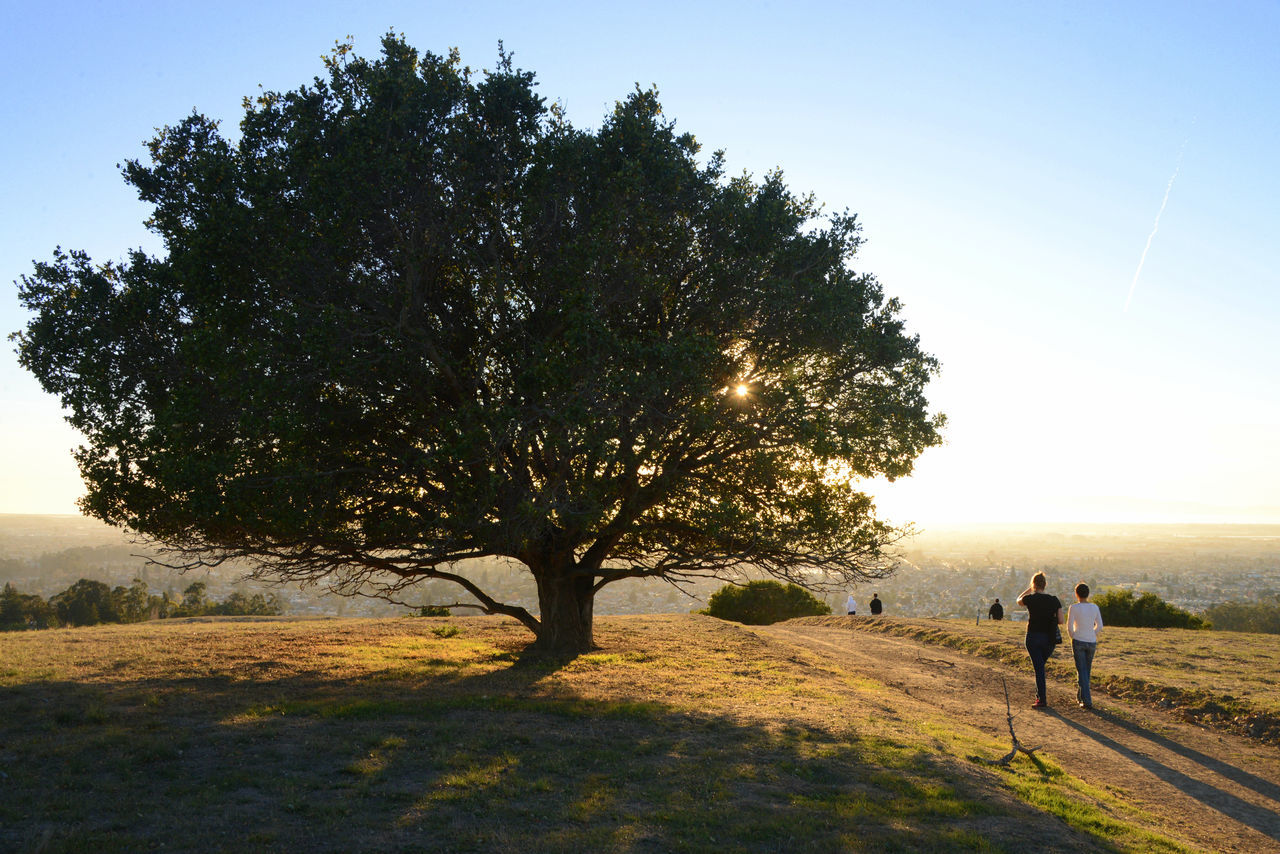 Knowland State Arboretum & Park