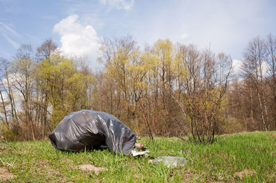 Garbage on grassy field against trees