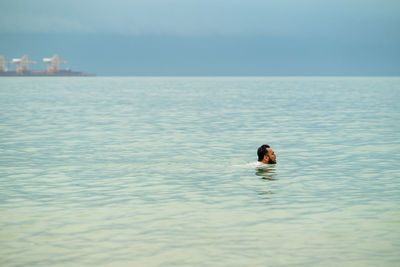 Side view of man swimming in sea