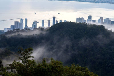 Trees in city against cloudy sky