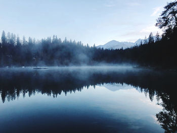 Scenic view of lake by trees against sky