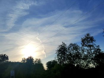 Low angle view of trees against sky