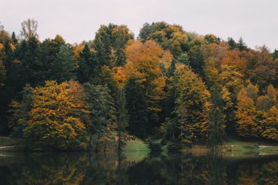 Scenic view of lake by trees during autumn