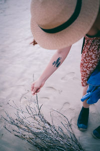 Cropped image of woman touching dried plant at beach
