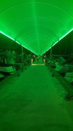 Illuminated lights at night