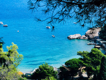 High angle view of sea and trees