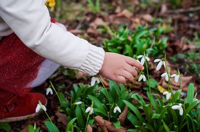 Low section of girl picking flowers while crouching on field