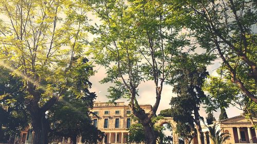 Low angle view of building