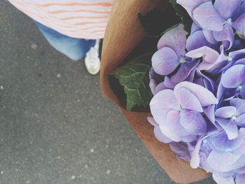 Close-up of purple flowers blooming outdoors