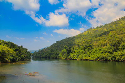 Scenic view of lake by trees against sky