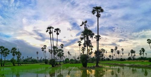 Scenic view of lake against sky