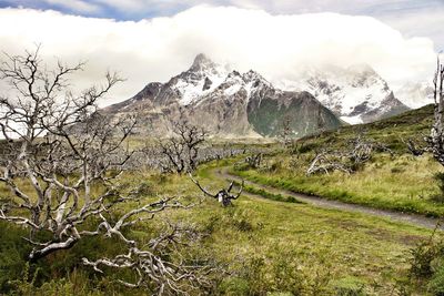 Scenic view of landscape and mountains against sky