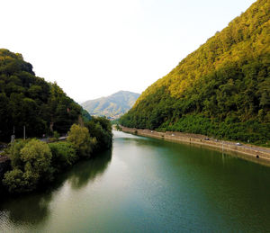 Scenic view of river amidst trees against clear sky