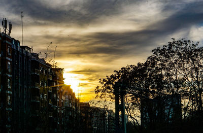 Trees against sky during sunset