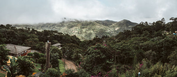 Panoramic view of trees and mountains against sky
