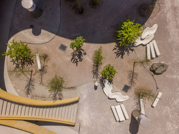 High angle view of potted plants