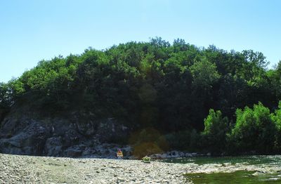 Scenic view of river amidst trees against clear sky