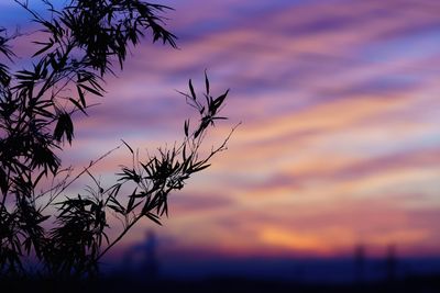 Scenic view of landscape against sky at sunset