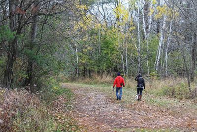 Rear view of people walking on footpath in forest