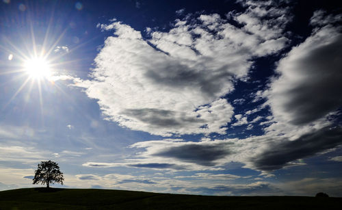 Low angle view of silhouette trees against sky