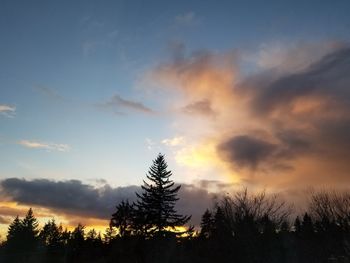 Low angle view of silhouette trees against sky during sunset