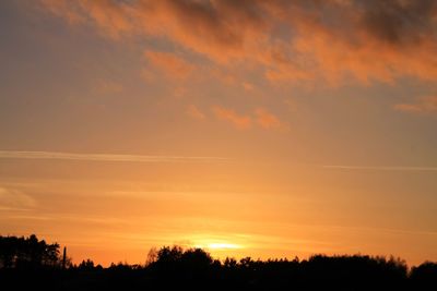 Silhouette of trees at sunset