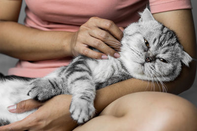 Midsection of hands holding cat