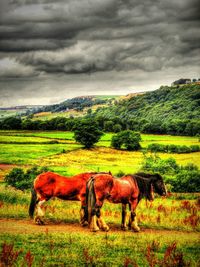 Cows grazing on grassy field