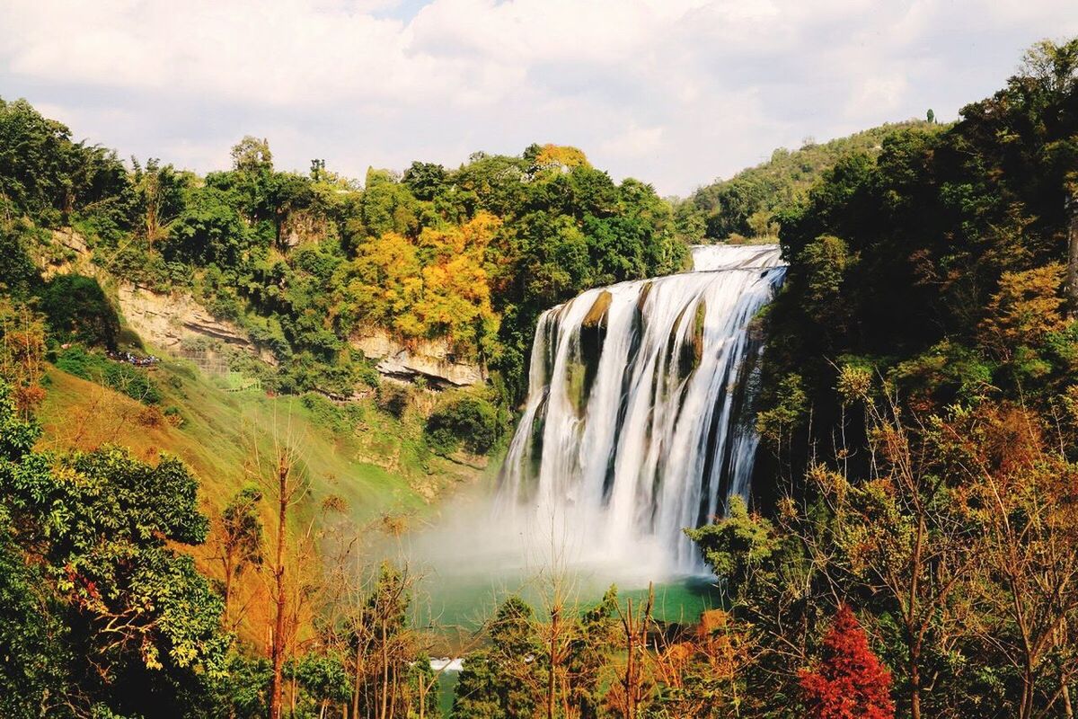 SCENIC VIEW OF WATERFALL AGAINST TREES