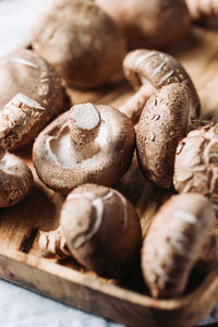 Close-up of mushrooms