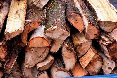 Detail shot of logs in forest