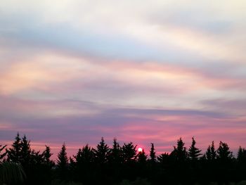 Scenic view of trees against cloudy sky during sunset