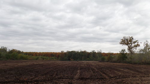 Scenic view of farm against sky