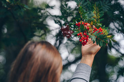 Midsection of woman holding fruits on tree