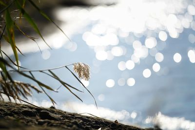 Close-up of sea against sky