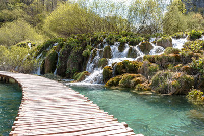 View of waterfall along trees