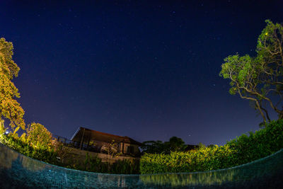 Low angle view of tree against star field