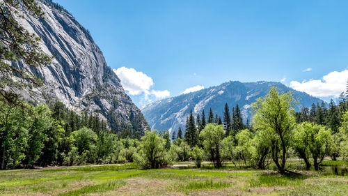 Scenic view of trees and mountains against sky