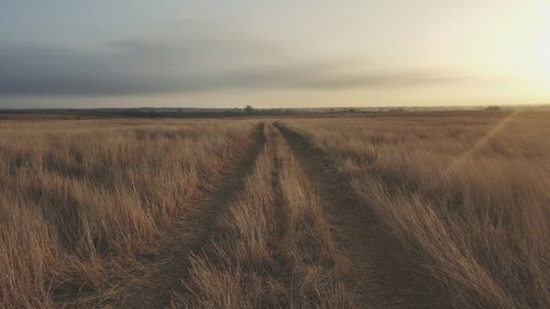 Scenic view of field against sky