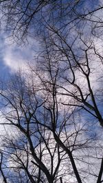 Low angle view of bare tree against sky