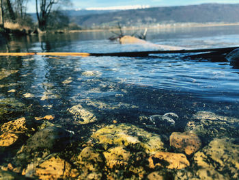 Scenic view of lake