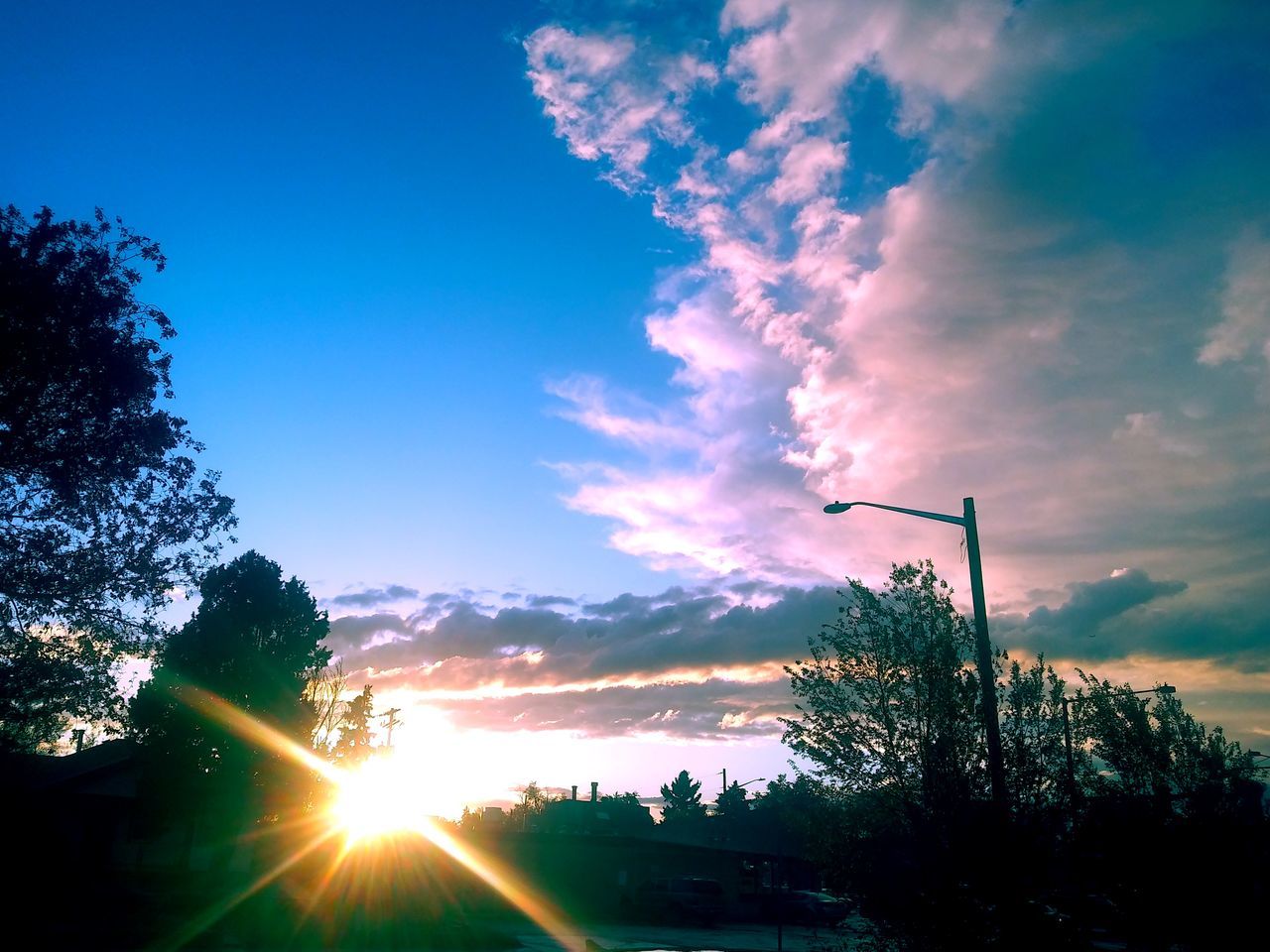 LOW ANGLE VIEW OF SILHOUETTE TREES AGAINST SKY