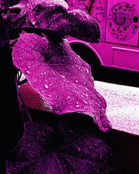 Close-up of raindrops on pink windshield