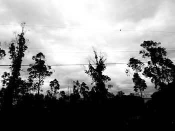 Low angle view of silhouette trees against sky