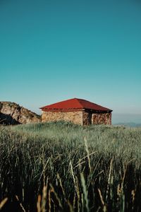 Scenic view of field against clear blue sky