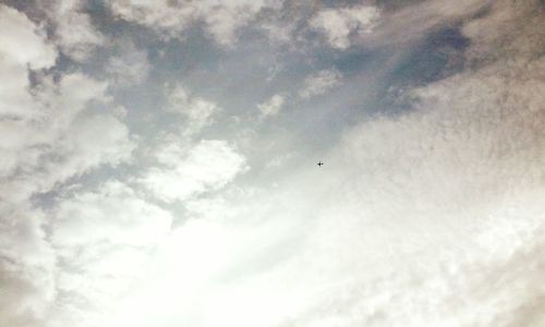 low angle view