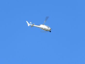 Low angle view of birds flying against blue sky